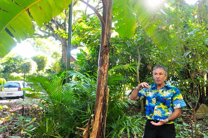 Guided tour - Flecker Botanic Gardens