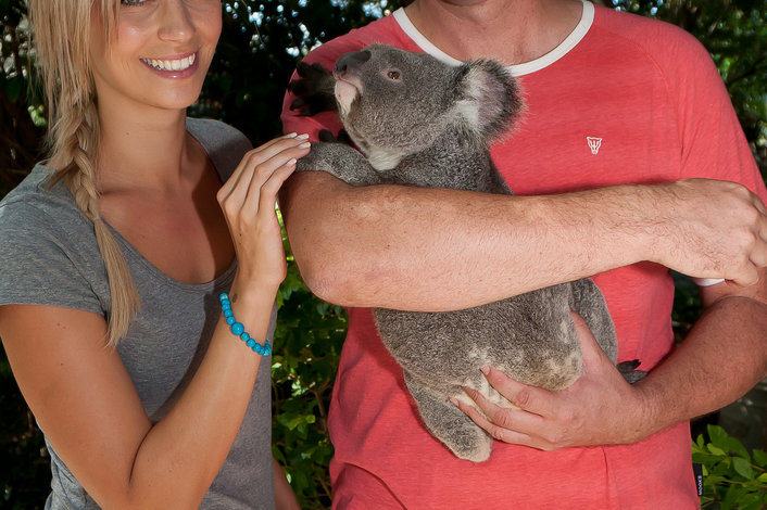 Koala holding photo