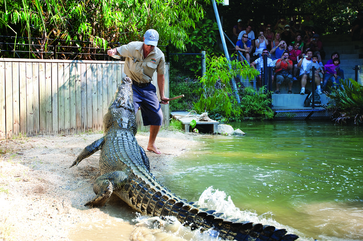 Croc Attack Show at Hartley's