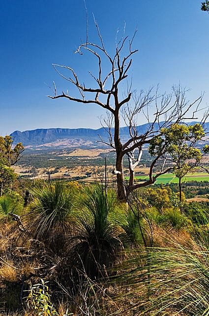 Scenic Rim 