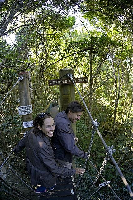 O'Reillys Rainforest Treetops