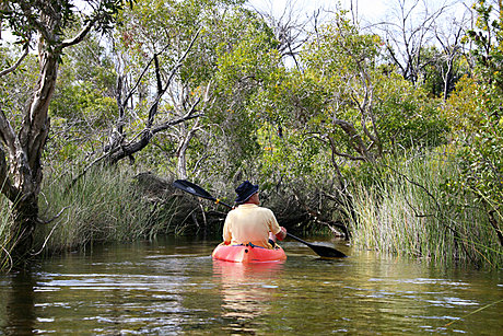 Creek Kayaking, Fraser Island