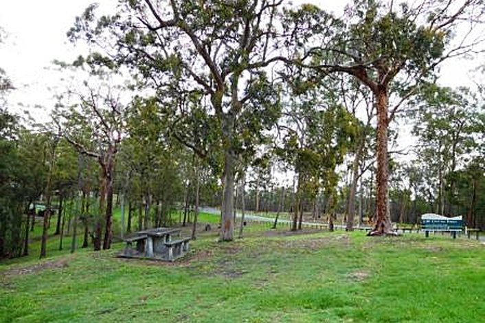 Picnic in the park at Mt Coot-tha