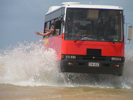 GREAT buses, Good times