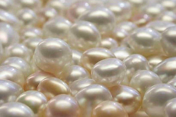 Cygnet Bay Pearls