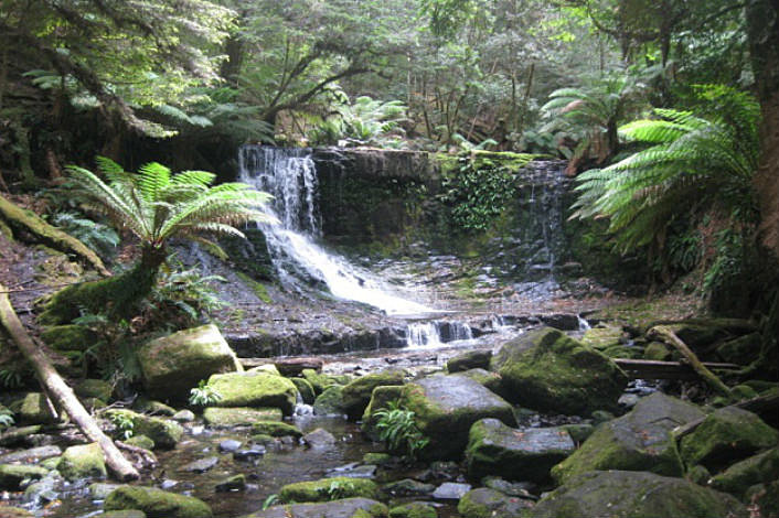 Waterfall in Mt Field National Park