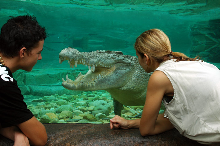 Cairns ZOOM & Wildlife Dome