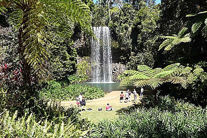 Millaa Millaa Falls