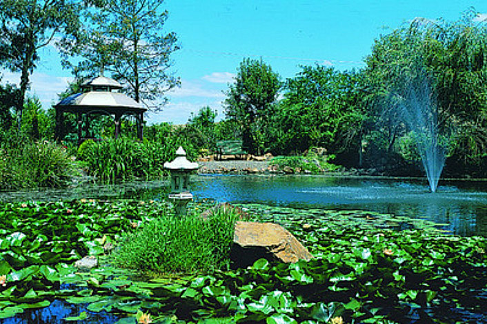 The beautiful Fergussons Winery Lake