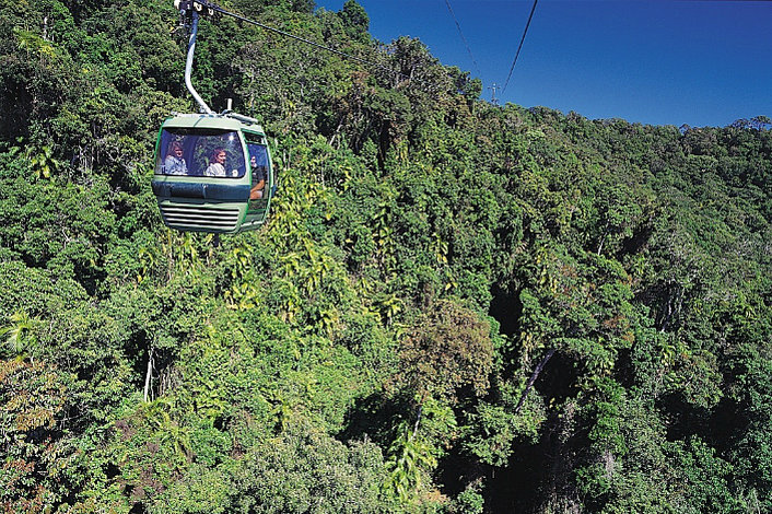 Glide over the rainforest