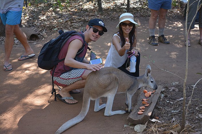 Territory Wildlife Park Wallaby 