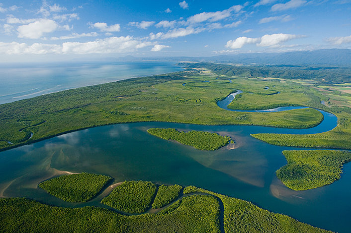 Daintree River