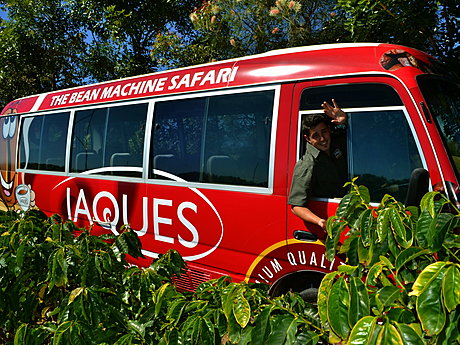 JAQUES COFFEE PLANTATION