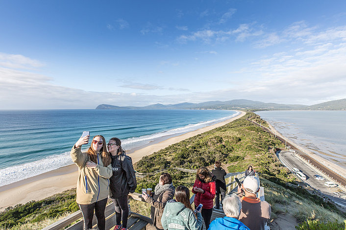 The Neck Wildlife Zone and Penguin Rookery and Beaches Bruny Island Safaris