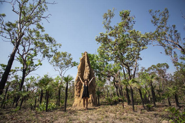 Nature's sky scrapers the Cathedral Termite Mounds