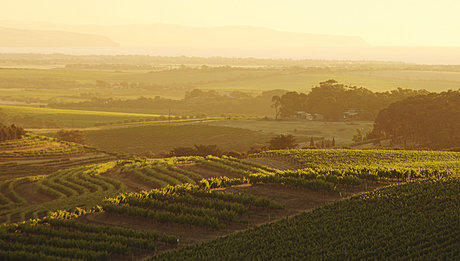 McLaren Vale