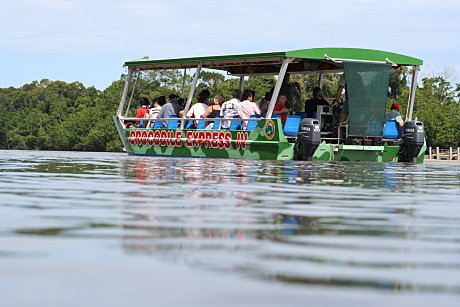 Daintree River Cruise