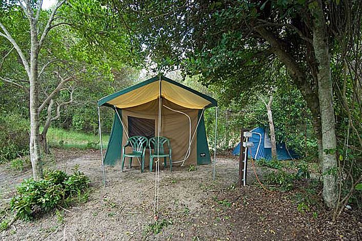 Tent