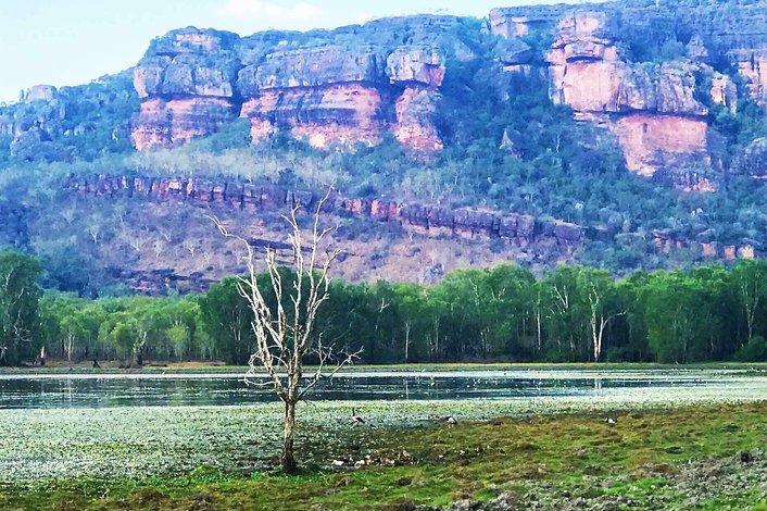 Breakfast with the birds at Anbangbang Billabong