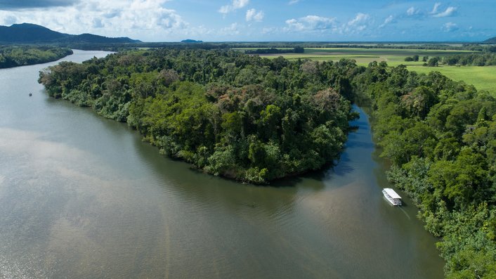 Daintree River