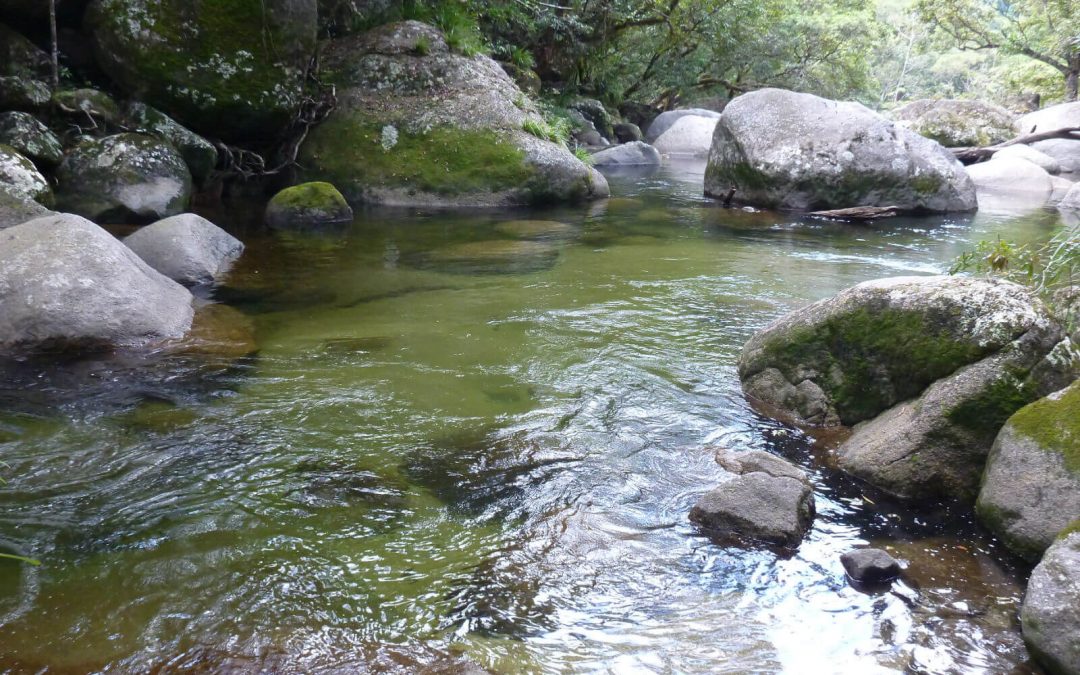 Mossman Gorge