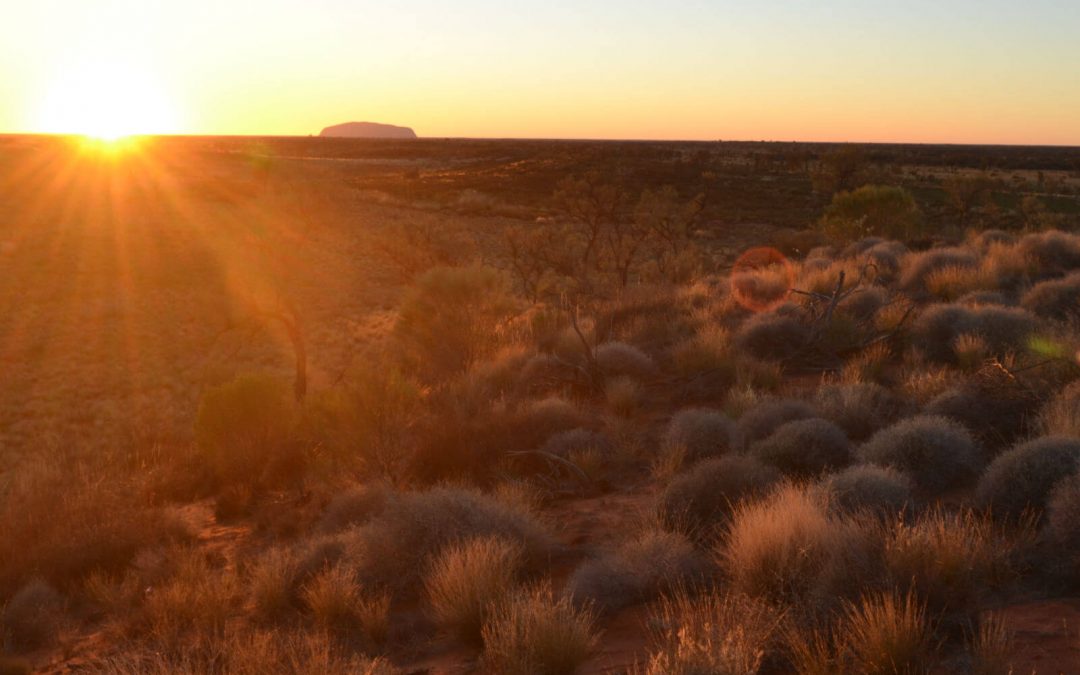 Top Things to do in the Red Centre