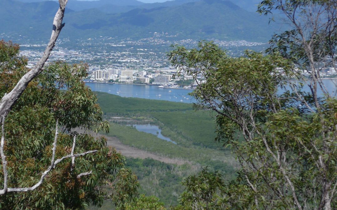 Cairns Long Weekend Itinerary