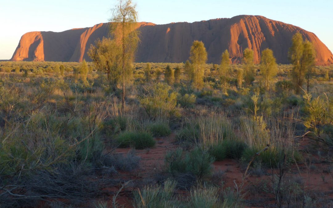Top 10 Things to See and Do near Uluru