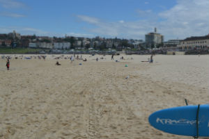 A life savers surf board at Bondi beach