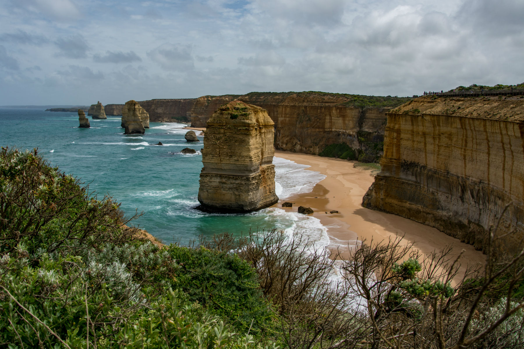 great ocean road tours from torquay