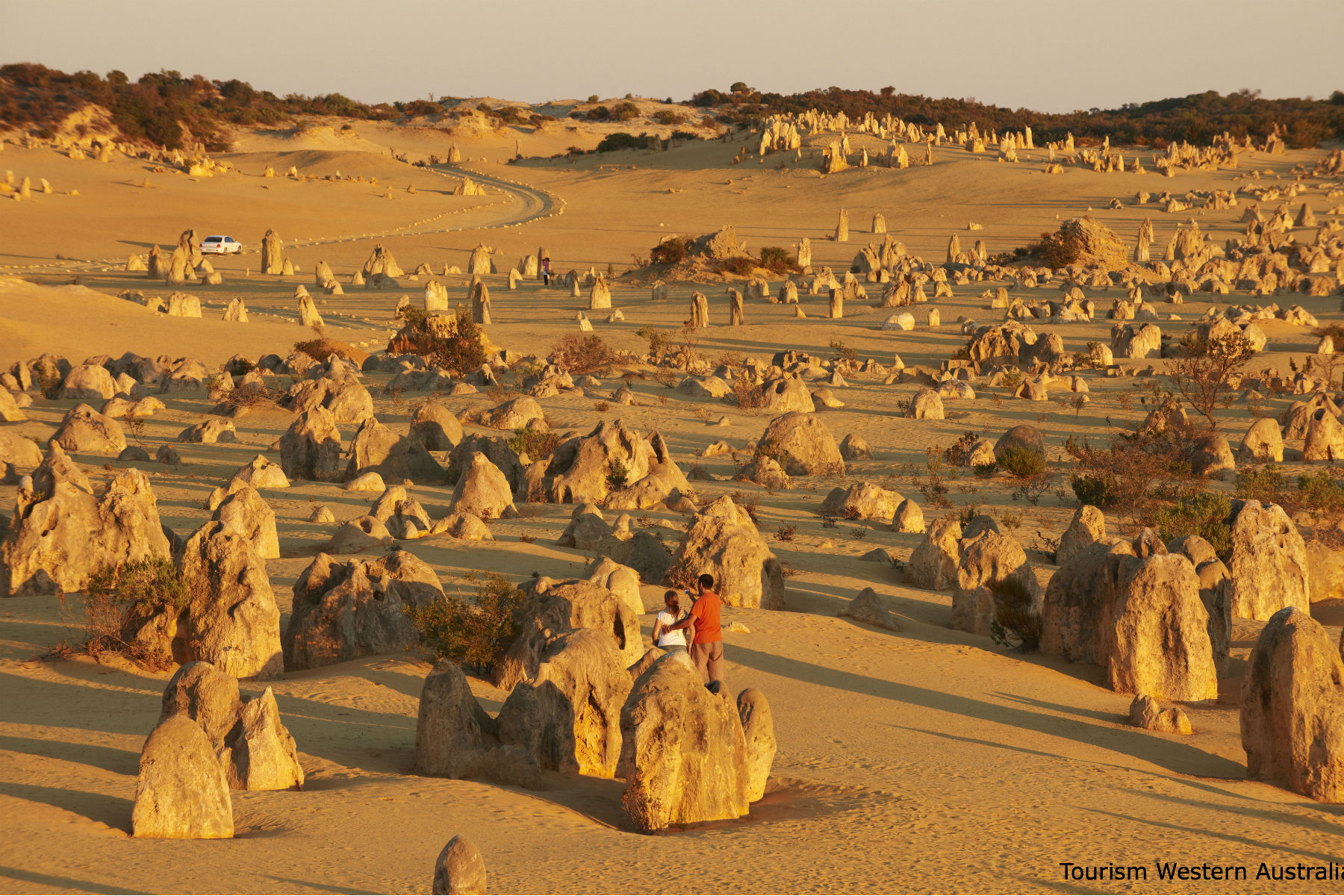 pinnacles desert tours from perth